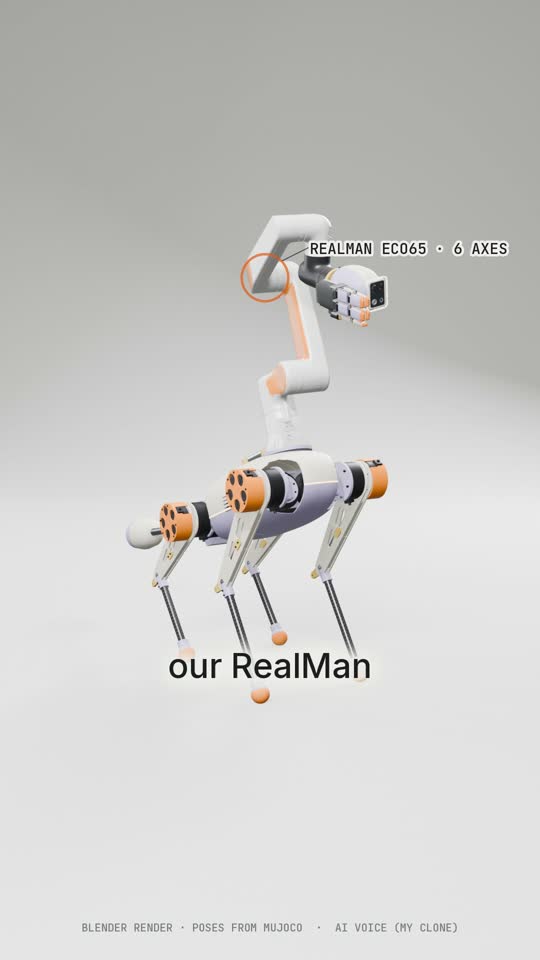 Heron robot design concept