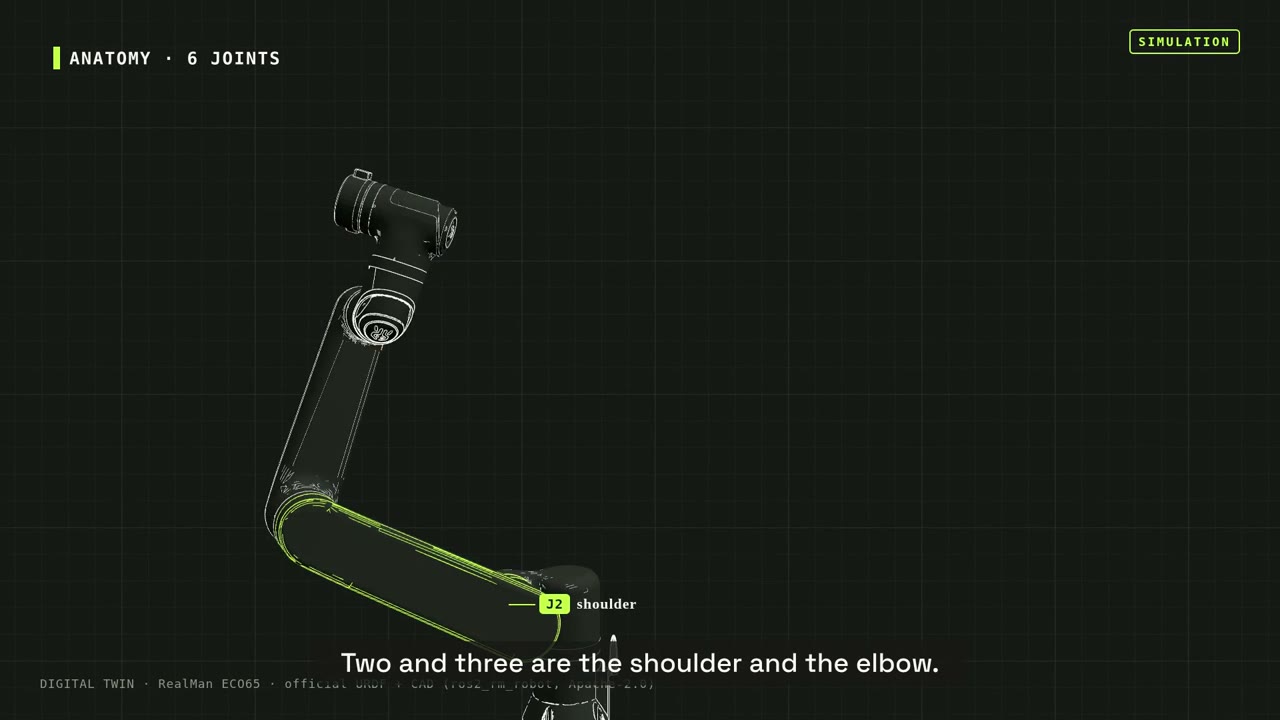The shoulder and elbow joints highlighted on the ECO65 model.